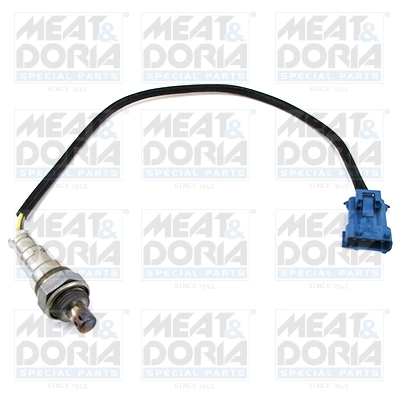 Oxygen Sensor